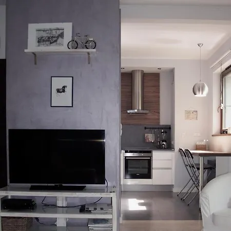Apartment Loft W Sercu Warszawy Hoza 55 Warsaw